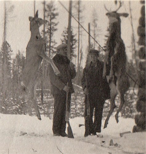 Forrest Carpenter with deer.jpg